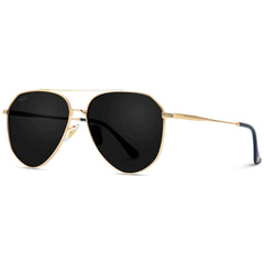 Gold Frame/Black | Ramsey | WMP Eyewear Geometric Polarized Aviators