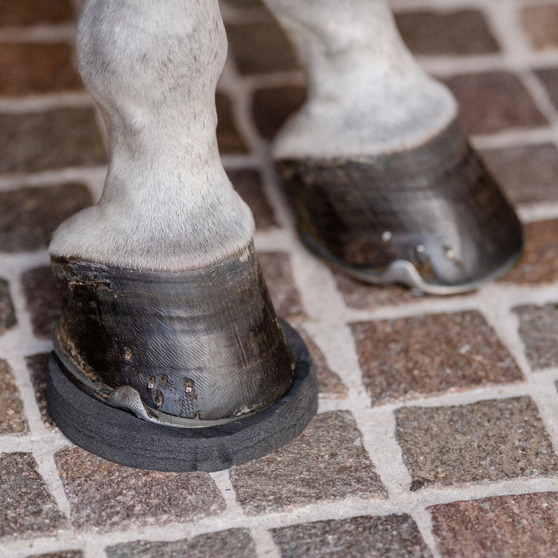 EquiFit | HoofSavers™