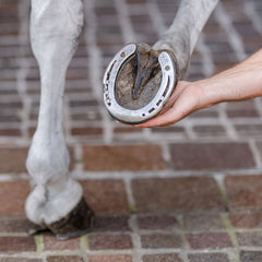 EquiFit | HoofSavers™