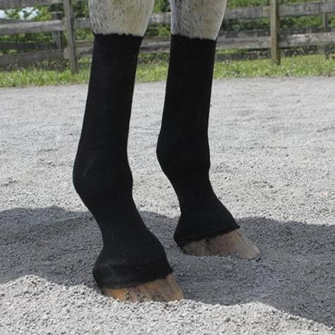 EquiFit| HorseSox™