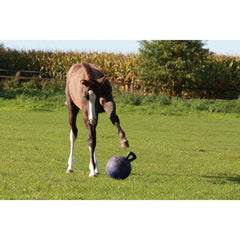 Jolly Ball for Horses- Large