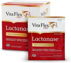 Lactanese Horse Supplement
