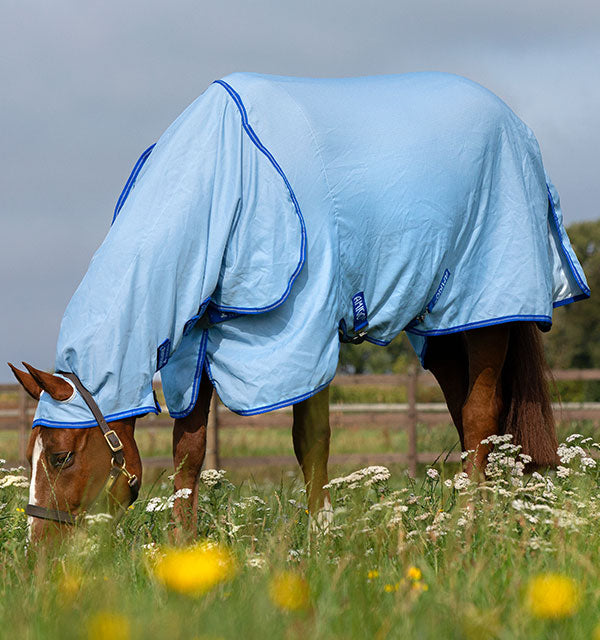 blue horseware full body fly sheet with a hood on a horse with its head down eating grass