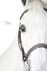Sugarbrook - Bell & Bow Bridle Wide Noseband